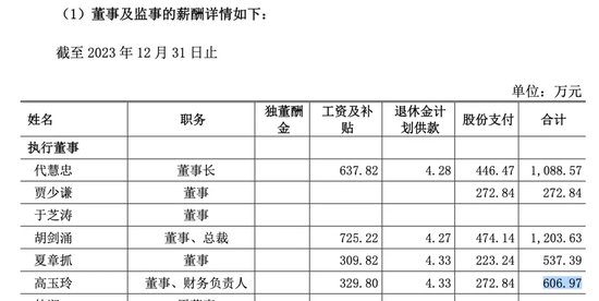 “80后”女财务，出任400亿海信家电董事长-第3张图片-国津软件-十年只做一个产品!IT--系统,B--系统,IT--,ITIL！