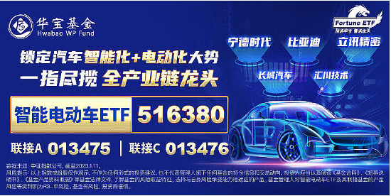 A股缩量盘整，固态电池逆市爆发，智能电动车ETF（516380）盘中上探2.5%！红利风起，坚守长期主义-第6张图片-国津软件-十年只做一个产品!IT--系统,B--系统,IT--,ITIL！