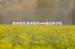 积木软件,积木软件10000波点多少钱-第1张图片-国津软件-十年只做一个产品!IT--系统,B--系统,IT--,ITIL！