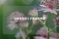 马斯克变性儿子要离开美国-第1张图片-国津软件-十年只做一个产品!IT--系统,B--系统,IT--,ITIL！