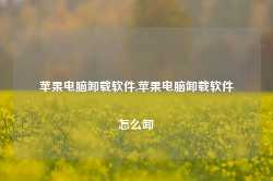 苹果电脑卸载软件,苹果电脑卸载软件怎么卸-第1张图片-国津软件-十年只做一个产品!IT--系统,B--系统,IT--,ITIL！