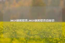 300339润和软件,300339润和软件目标价-第1张图片-国津软件-十年只做一个产品!IT--系统,B--系统,IT--,ITIL！