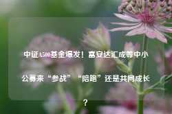 中证A500基金爆发！富安达汇成等中小公募来“参战”“陪跑”还是共同成长？-第1张图片-国津软件-十年只做一个产品!IT--系统,B--系统,IT--,ITIL！