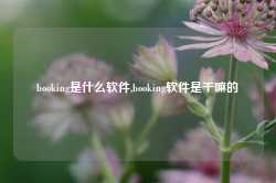 booking是什么软件,booking软件是干嘛的-第1张图片-国津软件-十年只做一个产品!IT--系统,B--系统,IT--,ITIL！