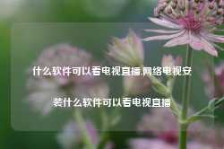 什么软件可以看电视直播,网络电视安装什么软件可以看电视直播-第1张图片-国津软件-十年只做一个产品!IT--系统,B--系统,IT--,ITIL！