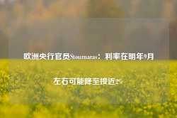 欧洲央行官员Stournaras：利率在明年9月左右可能降至接近2%-第1张图片-国津软件-十年只做一个产品!IT--系统,B--系统,IT--,ITIL！