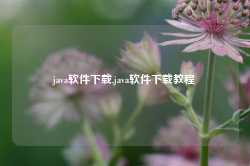 java软件下载,java软件下载教程-第1张图片-国津软件-十年只做一个产品!IT--系统,B--系统,IT--,ITIL！