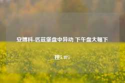 安博科-匹兹堡盘中异动 下午盘大幅下挫5.48%-第1张图片-国津软件-十年只做一个产品!IT--系统,B--系统,IT--,ITIL！