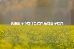 英语翻译下载什么软件,免费翻译软件-第1张图片-国津软件-十年只做一个产品!IT--系统,B--系统,IT--,ITIL！