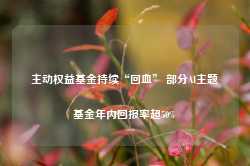 主动权益基金持续“回血” 部分AI主题基金年内回报率超50%-第1张图片-国津软件-十年只做一个产品!IT--系统,B--系统,IT--,ITIL！