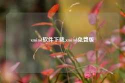 xmind软件下载,xmind免费版-第1张图片-国津软件-十年只做一个产品!IT--系统,B--系统,IT--,ITIL！