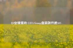 Q3业绩强劲 CAVA Group盘前飙升逾16%-第1张图片-国津软件-十年只做一个产品!IT--系统,B--系统,IT--,ITIL！