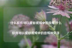 什么软件可以提取视频中的音频,什么软件可以提取视频中的音频和文字-第1张图片-国津软件-十年只做一个产品!IT--系统,B--系统,IT--,ITIL！