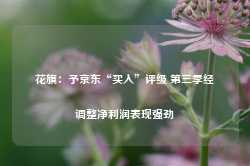 花旗：予京东“买入”评级 第三季经调整净利润表现强劲-第1张图片-国津软件-十年只做一个产品!IT--系统,B--系统,IT--,ITIL！