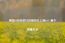 美国10月份进口价格环比上涨0.3% 高于预期水平-第1张图片-国津软件-十年只做一个产品!IT--系统,B--系统,IT--,ITIL！