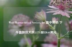 West Pharmaceutical Services, Inc.盘中异动 下午盘股价大跌5.17%报320.64美元-第1张图片-国津软件-十年只做一个产品!IT--系统,B--系统,IT--,ITIL！