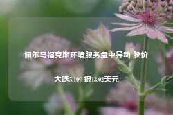 佩尔马福克斯环境服务盘中异动 股价大跌5.10%报13.02美元-第1张图片-国津软件-十年只做一个产品!IT--系统,B--系统,IT--,ITIL！