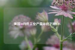 美国10月份工业产值环比下降0.3%-第1张图片-国津软件-十年只做一个产品!IT--系统,B--系统,IT--,ITIL！