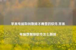 苹果电脑如何删除不需要的软件,苹果电脑想删除软件怎么删除-第1张图片-国津软件-十年只做一个产品!IT--系统,B--系统,IT--,ITIL！