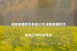 成都泰盟软件有限公司,成都泰盟软件有限公司电话号码-第1张图片-国津软件-十年只做一个产品!IT--系统,B--系统,IT--,ITIL！