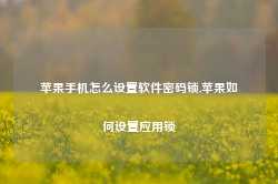 苹果手机怎么设置软件密码锁,苹果如何设置应用锁-第1张图片-国津软件-十年只做一个产品!IT--系统,B--系统,IT--,ITIL！