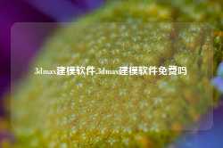 3dmax建模软件,3dmax建模软件免费吗-第1张图片-国津软件-十年只做一个产品!IT--系统,B--系统,IT--,ITIL！