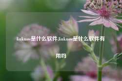 linknow是什么软件,linknow是什么软件有用吗-第1张图片-国津软件-十年只做一个产品!IT--系统,B--系统,IT--,ITIL！