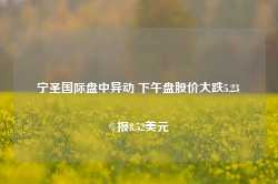 宁圣国际盘中异动 下午盘股价大跌5.23%报8.52美元-第1张图片-国津软件-十年只做一个产品!IT--系统,B--系统,IT--,ITIL！