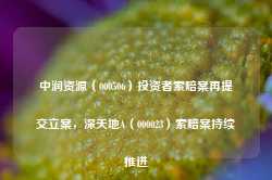 中润资源（000506）投资者索赔案再提交立案，深天地A（000023）索赔案持续推进-第1张图片-国津软件-十年只做一个产品!IT--系统,B--系统,IT--,ITIL！