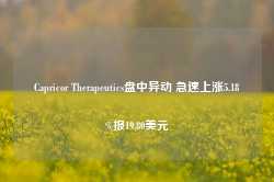 Capricor Therapeutics盘中异动 急速上涨5.18%报19.80美元-第1张图片-国津软件-十年只做一个产品!IT--系统,B--系统,IT--,ITIL！