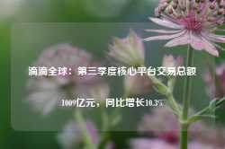 滴滴全球：第三季度核心平台交易总额1009亿元，同比增长10.3%-第1张图片-国津软件-十年只做一个产品!IT--系统,B--系统,IT--,ITIL！