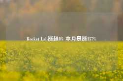 Rocket Lab涨超8% 本月暴涨157%-第1张图片-国津软件-十年只做一个产品!IT--系统,B--系统,IT--,ITIL！