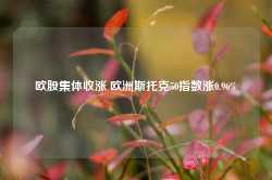 欧股集体收涨 欧洲斯托克50指数涨0.96%-第1张图片-国津软件-十年只做一个产品!IT--系统,B--系统,IT--,ITIL！